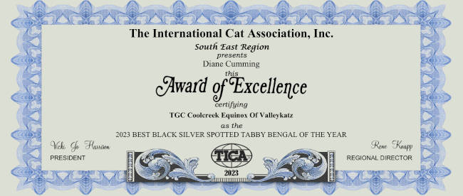 certificate for Coolcreek Equinox Of Valleykatz - 2023 BEST BLACK SILVER SPOTTED TABBY BENGAL OF THE YEAR