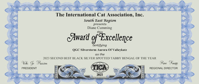 certificate for Silverstorm Aurora Of Valleykatz - 2023 SECOND BEST BLACK SILVER SPOTTED TABBY BENGAL OF THE YEAR