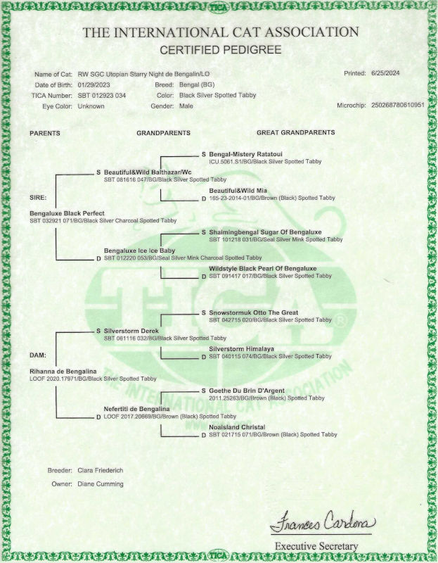 Valley Katz Bengal Stud RW SGC Bengalina Utopian Starry Night pedigree